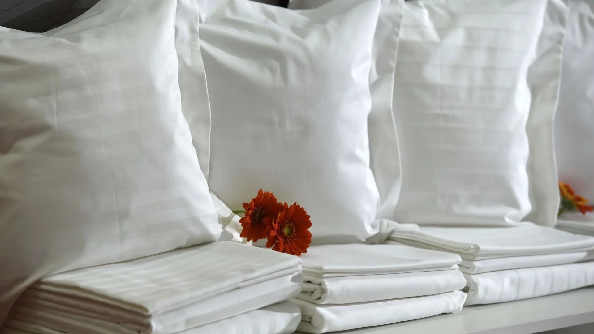 Transform Your Bedroom into a Luxurious Oasis with White-on-White ...