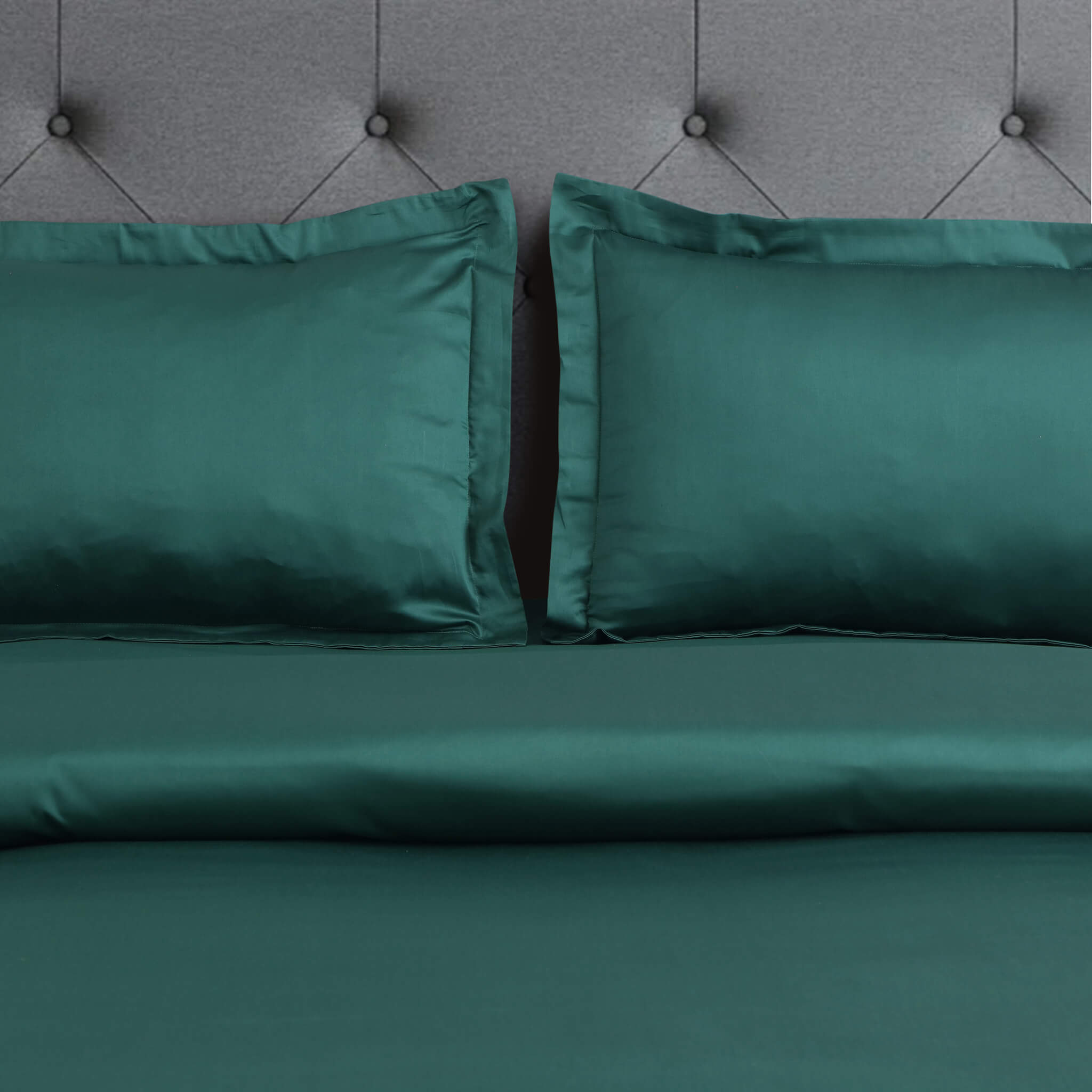 Malako Vibrant Solid Green 500 TC King Size 100% Cotton Bed Sheet With 2 Plain Pillow Covers - MALAKO